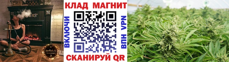 Купить наркотик Шуя Alpha-PVP  Меф  МЕТАДОН  МАРИХУАНА 