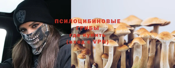 амфетамин Богородицк